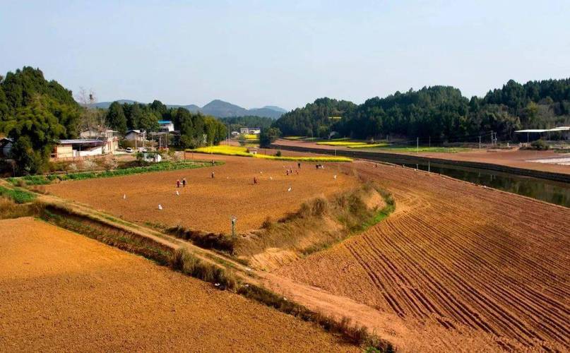 青岗镇:力争2024年全年水稻,玉米两杂制种面积达到15000亩_发展_种植_