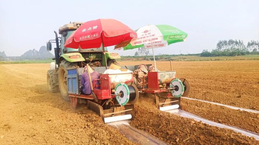 崇左市引进泰国甘蔗机械化种植模式 - 新闻中心 - 广西壮族自治区农业